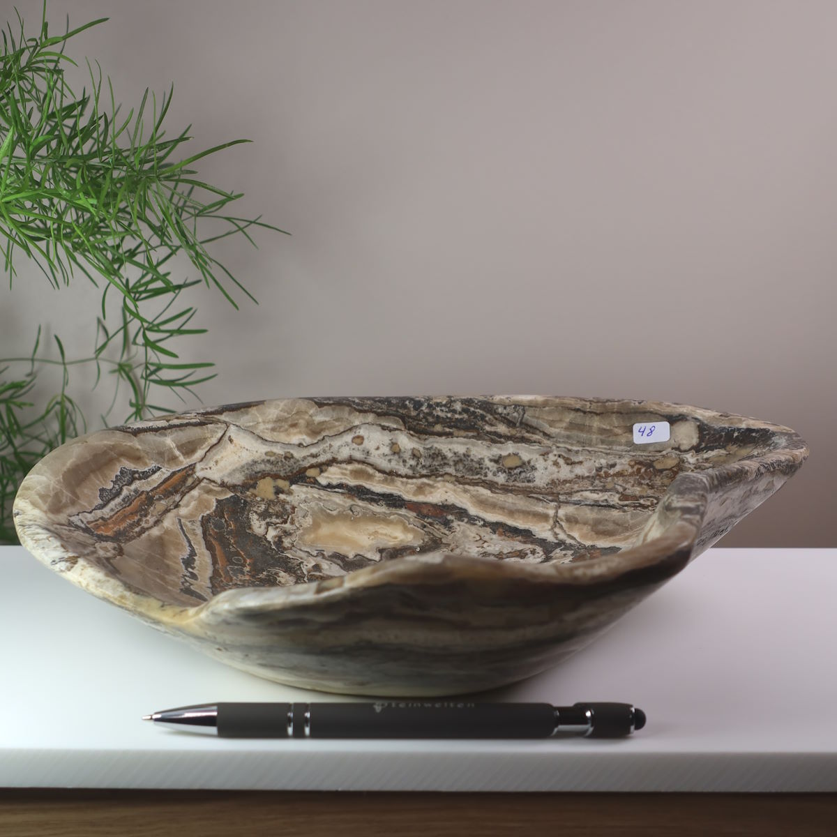 Aragonit Schale geschliffen 