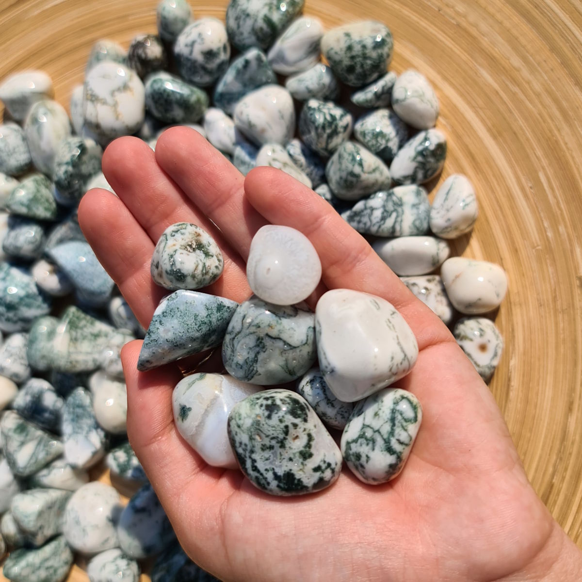 Hand holding Baumachat - Handschmeichler stones with green patterns resembling nature.