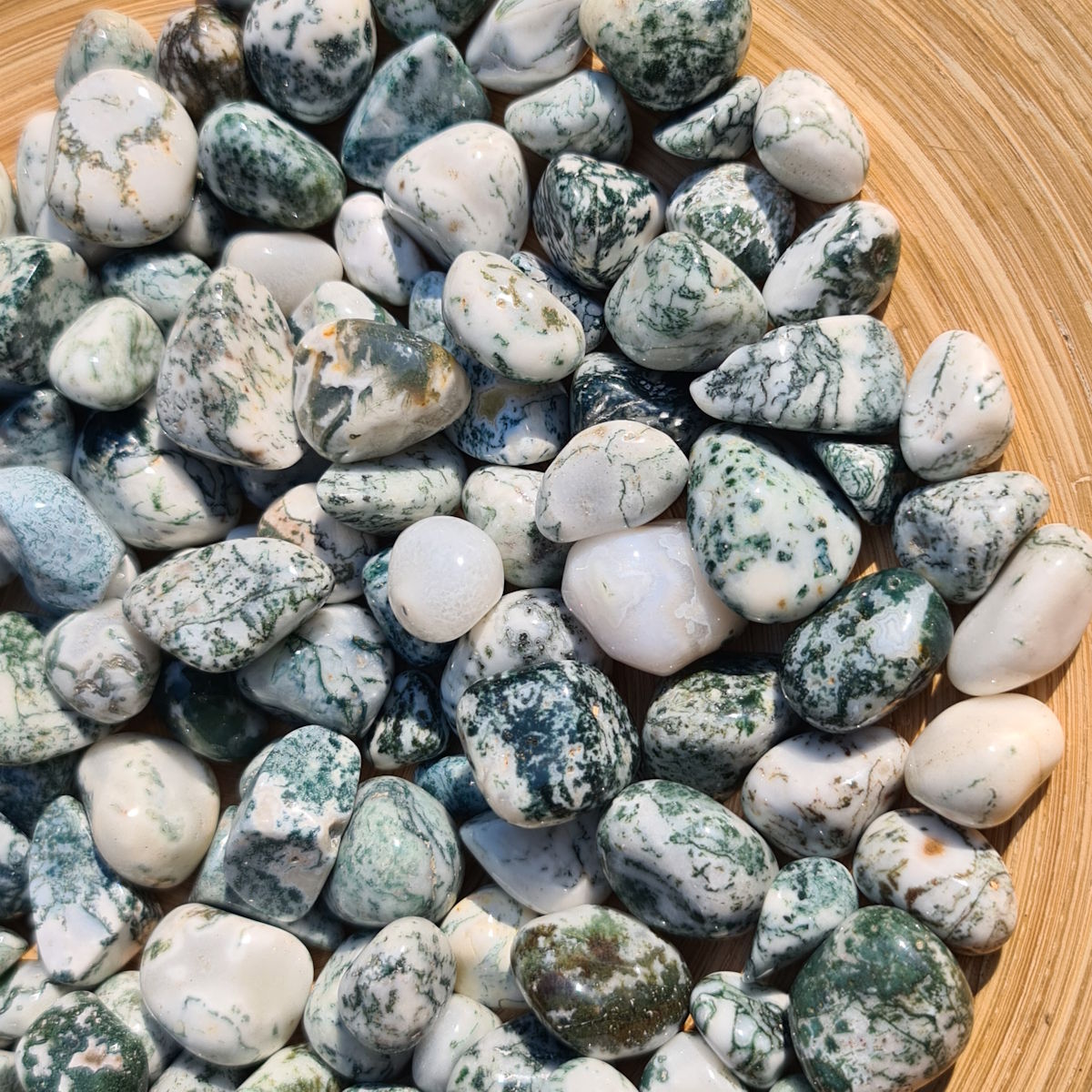 Baumachat - Handschmeichler