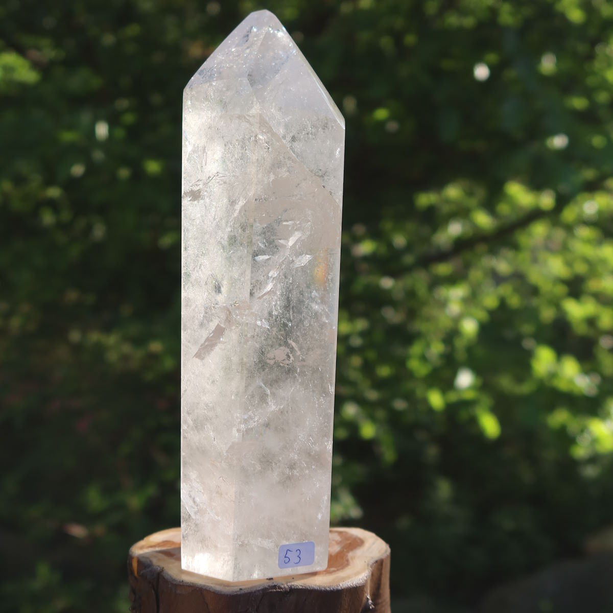 Bergkristall Spitze von Steinwelten 