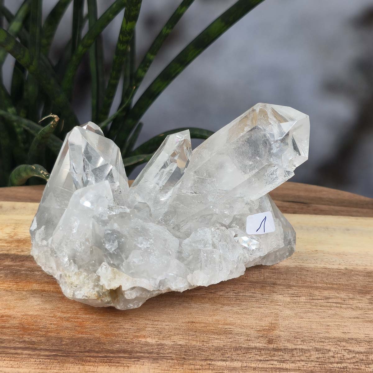 Bergkristall Stufe 1A Qualität, 7x11x7 cm - Klarheit und Fokus - UNIKAT Nr. 1, roher klarer Kristall aus Brasilien auf Holzuntergrund