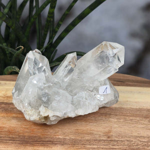 Bergkristall Stufe 1A Qualität, 7x11x7 cm - Klarheit und Fokus - UNIKAT Nr. 1, roher klarer Kristall aus Brasilien auf Holzuntergrund