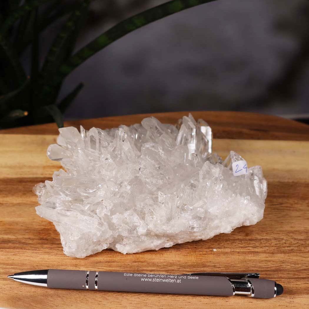 Bergkristall Stufe 1A Qualität, 6x13x10 cm - Klarheit und Fokus - UNIKAT Nr. 24 auf einem Holztisch vor Pflanzen
