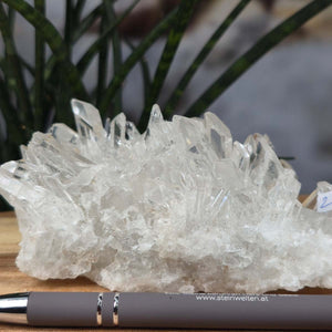 Bergkristall Stufe 1A Qualität, 6x13x10 cm - Klarheit und Fokus - UNIKAT Nr. 24 auf einem Holztisch vor Pflanzen