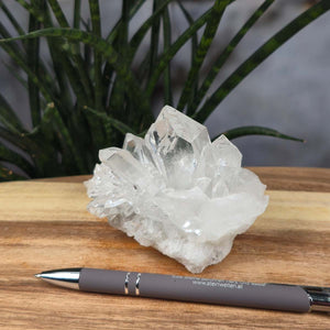 Bergkristall Stufe 1A Qualität, 7x11x8 cm - Klarheit und Fokus - UNIKAT Nr. 25, ungeschliffener Kristall aus Brasilien vor Pflanzenhintergrund