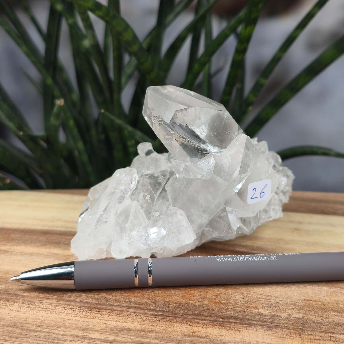 Bergkristall Stufe 1A Qualität, 7x10x8 cm - Klarheit und Fokus - UNIKAT Nr. 26 aus Brasilien auf Holzdisplay