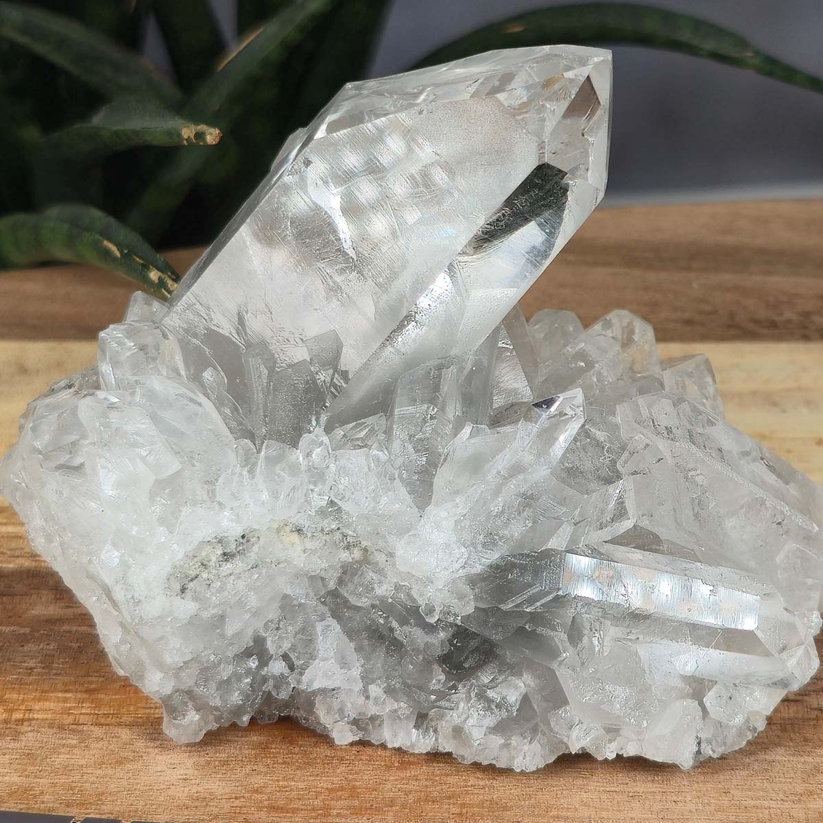 Bergkristall Stufe 1A Qualität, 7x10x8 cm - Klarheit und Fokus - UNIKAT Nr. 26 aus Brasilien auf Holzdisplay