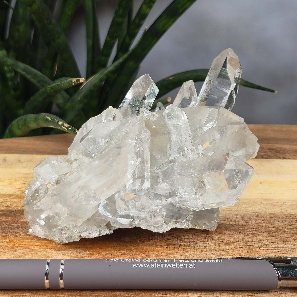 Bergkristall Stufe 1A Qualität, 5x11x8 cm - Klarheit und Fokus - UNIKAT Nr. 27, naturbelassene Kristallformation aus Brasilien