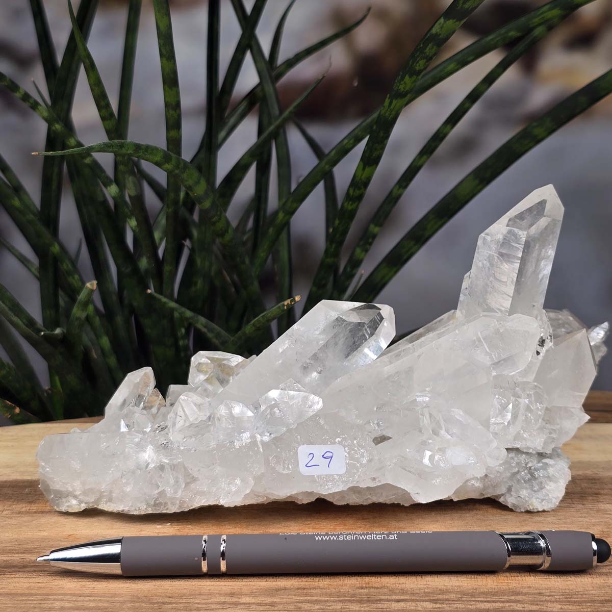 Bergkristall Stufe 1A Qualität, 8x18x9 cm - Klarheit und Fokus - UNIKAT Nr. 29 in natürlicher Form auf Holzunterlage, mit Stift.