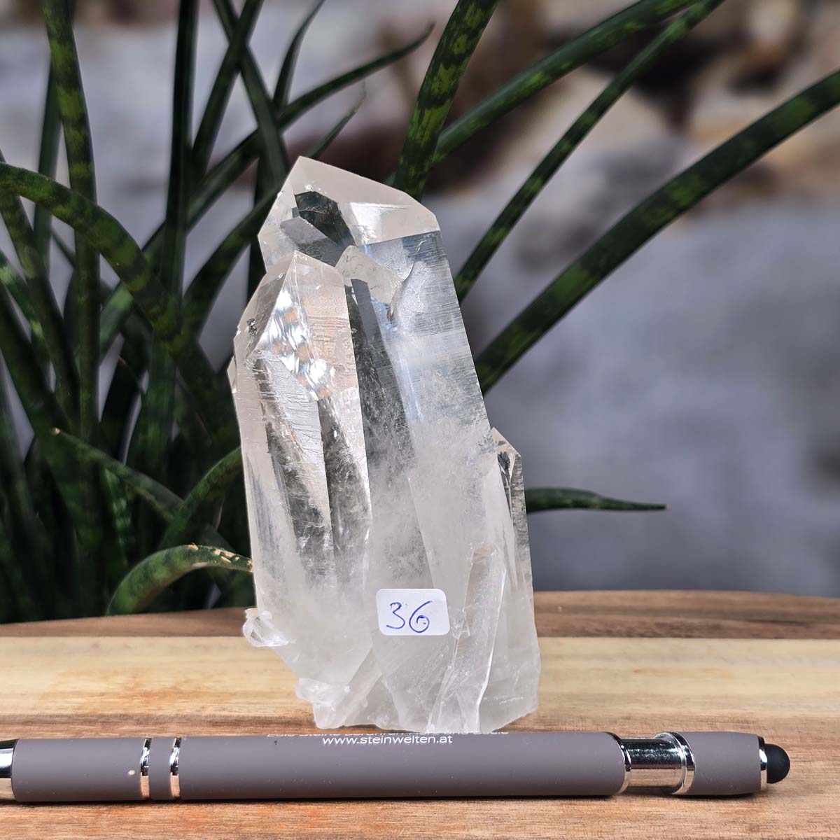 Bergkristall Stufe 1A Qualität, 10x5x5 cm - Klarheit und Fokus - UNIKAT Nr. 36, natürliche brasilianische Quarzkristall-Stufe