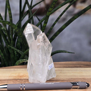 Bergkristall Stufe 1A Qualität, 10x5x5 cm - Klarheit und Fokus - UNIKAT Nr. 36 auf Holz vor Pflanzen