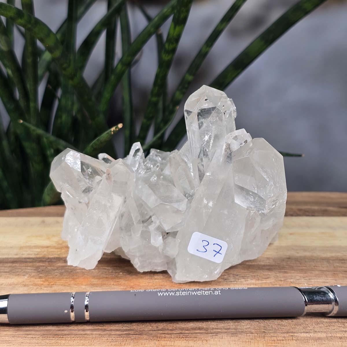 Bergkristall Stufe 1A Qualität, 7x8x9 cm - Klarheit und Fokus - UNIKAT Nr. 37, rohe natürliche Bergkristall-Stufen aus Brasilien