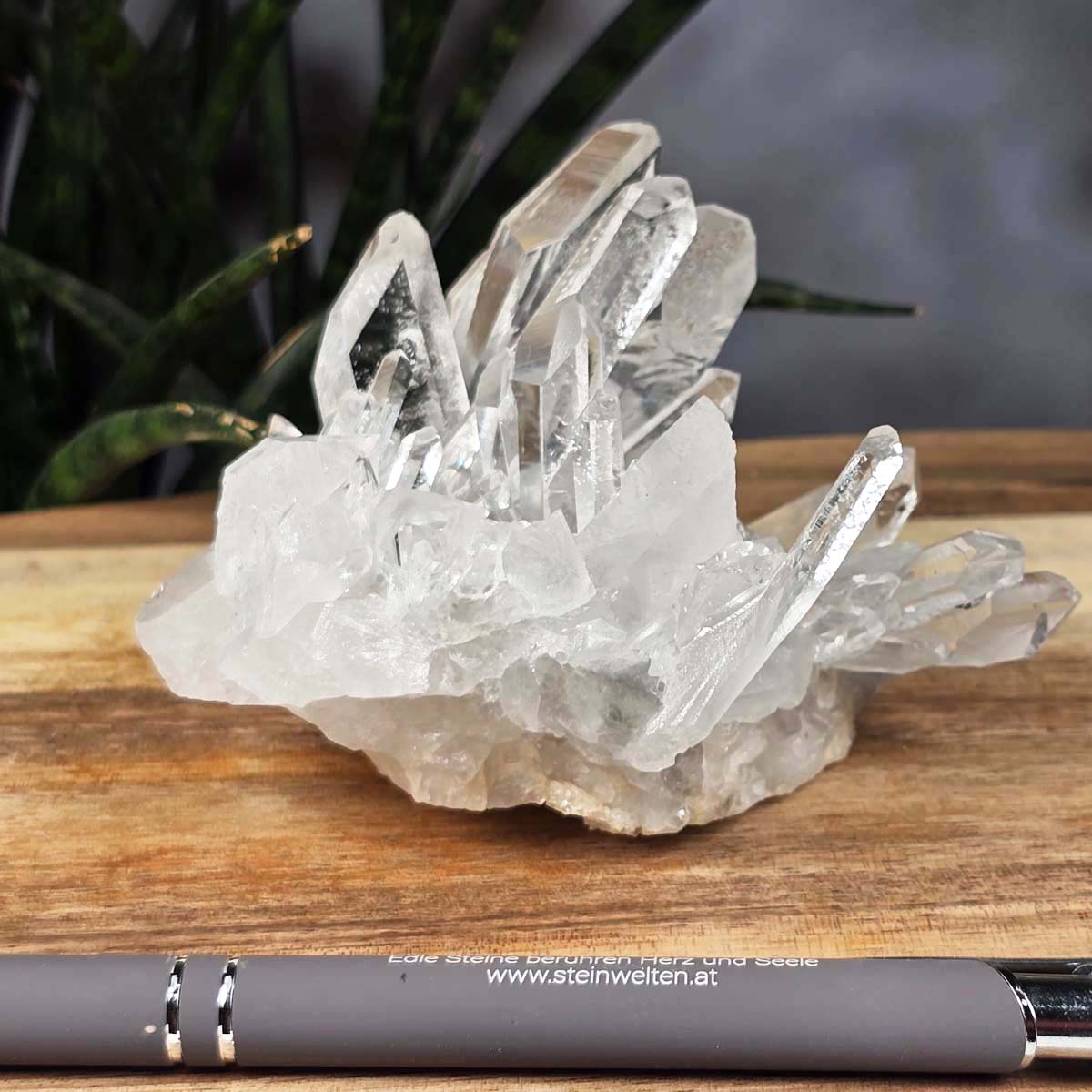 Bergkristall Stufe 1A Qualität, 6x10x8 cm - Klarheit und Fokus - UNIKAT Nr. 39 auf Holztisch