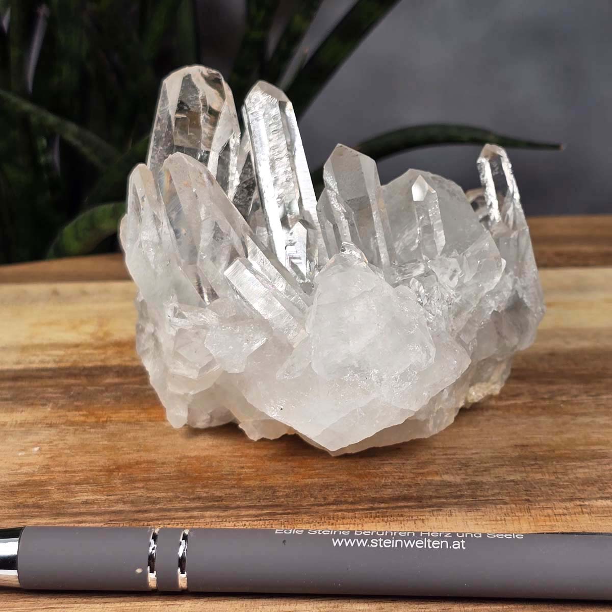 Bergkristall Stufe 1A Qualität, 6x10x8 cm - Klarheit und Fokus - UNIKAT Nr. 39 aus Brasilien, roher klarer Bergkristall auf Holz.