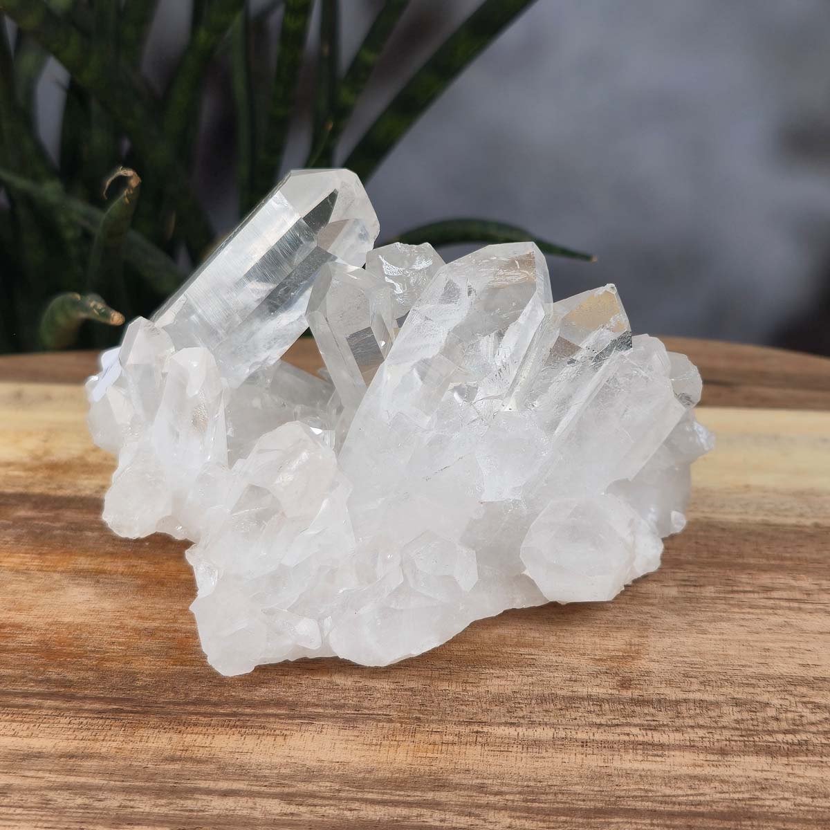 Bergkristall Stufe 1A Qualität, 6x11x7 cm - Klarheit und Fokus - UNIKAT Nr. 3 aus Brasilien, naturbelassene Kristalle auf Holz.