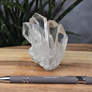 Bergkristall Stufe 1A Qualität, 9x6x5 cm - Klarheit und Fokus - UNIKAT Nr. 41 auf einem Tisch mit Pflanzen im Hintergrund