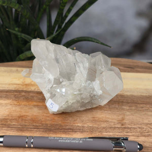 Bergkristall Stufe 1A Qualität, 9x11x8 cm - Klarheit und Fokus - UNIKAT Nr. 5 auf Holztisch vor Pflanze