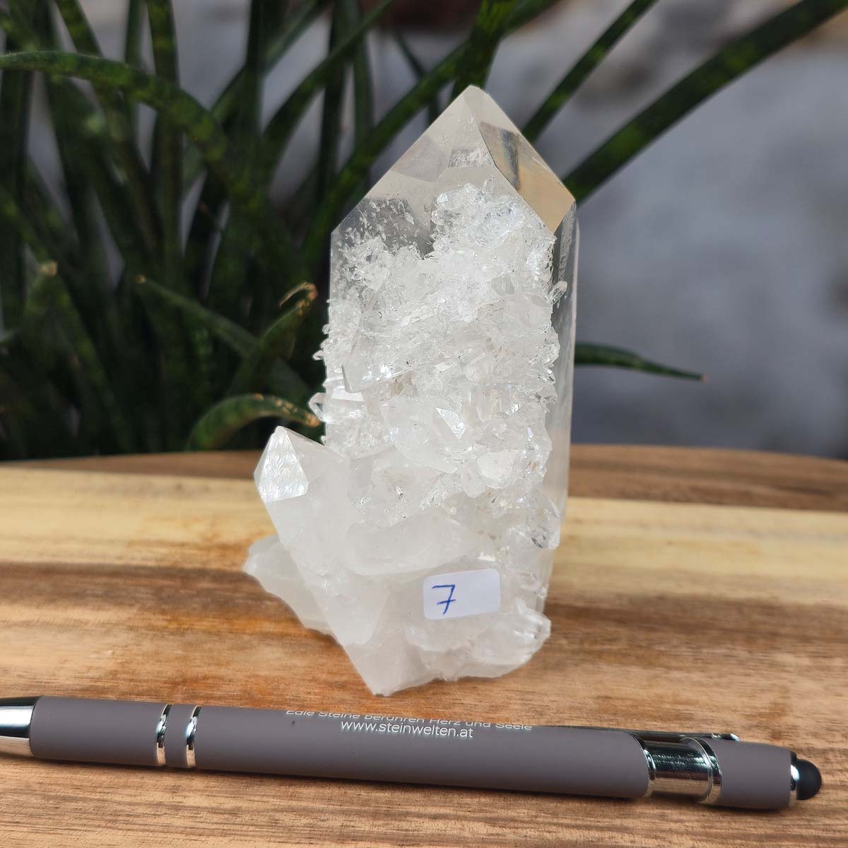 Bergkristall Stufe 1A Qualität, 10x7x6 cm - Klarheit und Fokus - UNIKAT Nr. 7 on display with natural crystal structure