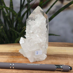 Bergkristall Stufe 1A Qualität, 10x7x6 cm - Klarheit und Fokus - UNIKAT Nr. 7, rohe klare Quarzkristallstufe auf Holz präsentiert