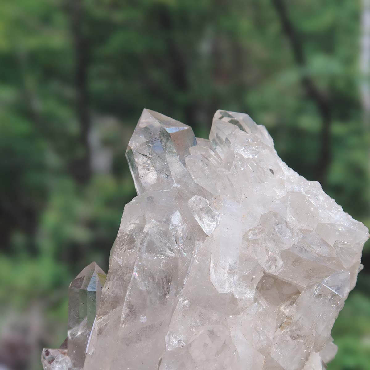 Hand holding raw Brazilian crystal cluster in nature, showcasing natural clarity and unique formations, perfect for focus and clarity.