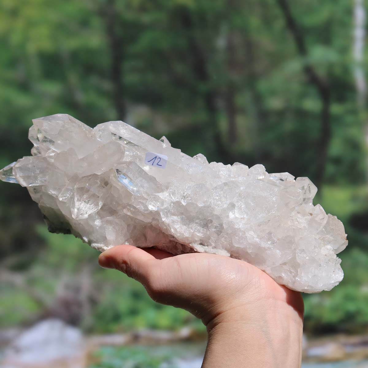Hand holding raw Brazilian crystal cluster in nature, showcasing natural clarity and unique formations, perfect for focus and clarity.