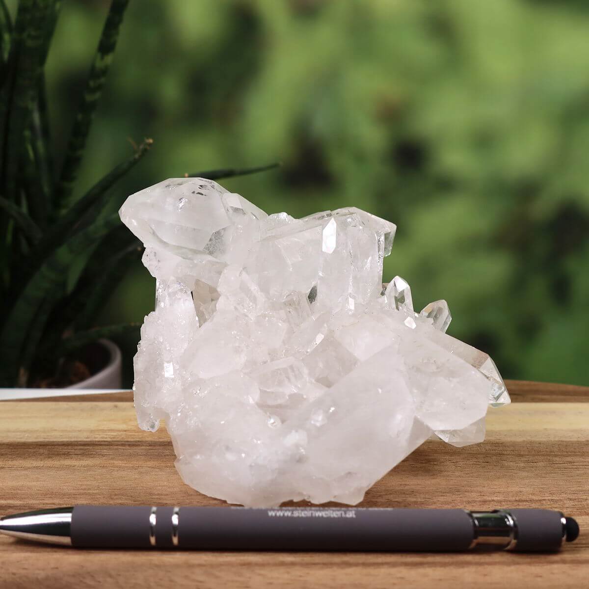 Natural Brazilian Quartz Crystal Cluster with Pen for Scale