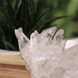 Close-up of raw Brazilian bergkristall crystals on wooden surface, showcasing natural clarity and unique formations.