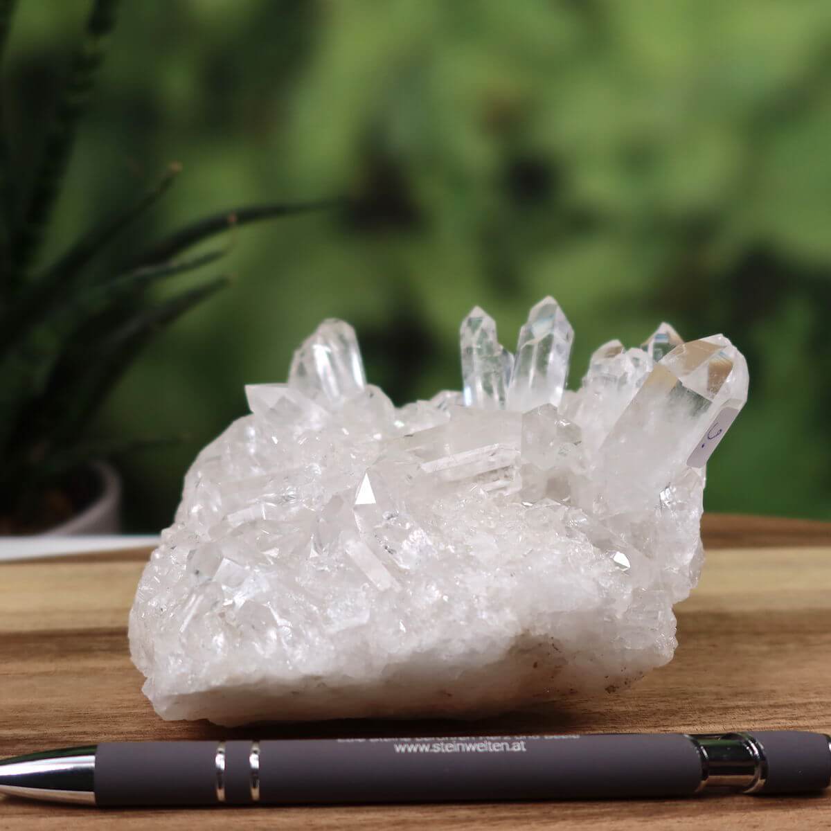Raw clear quartz cluster from Brazil, featuring natural crystal formations on a wooden display, pen for size reference.