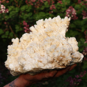 1A Naturlig Aragonit på matrix trin XL med drueformet dannelse – Marokko - 7,2 kg - 21x24x18 cm - Nr.18
