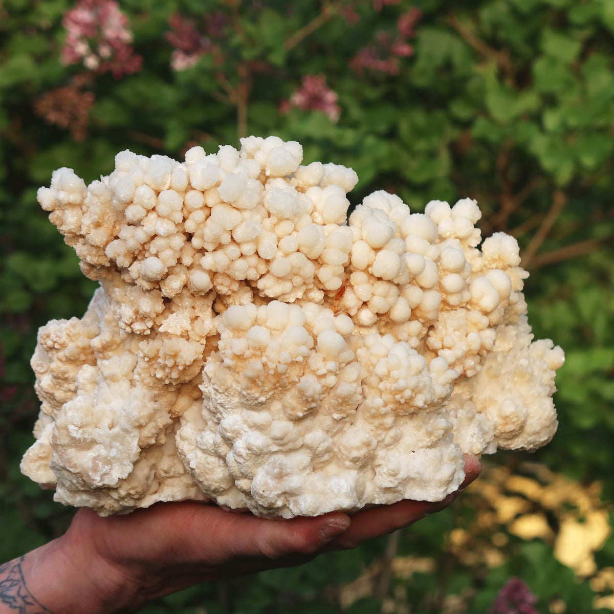 1A Aragonite naturelle sur matrice XL avec formation en grappes – Maroc – 7,2 kg – 21x24x18 cm – N°18