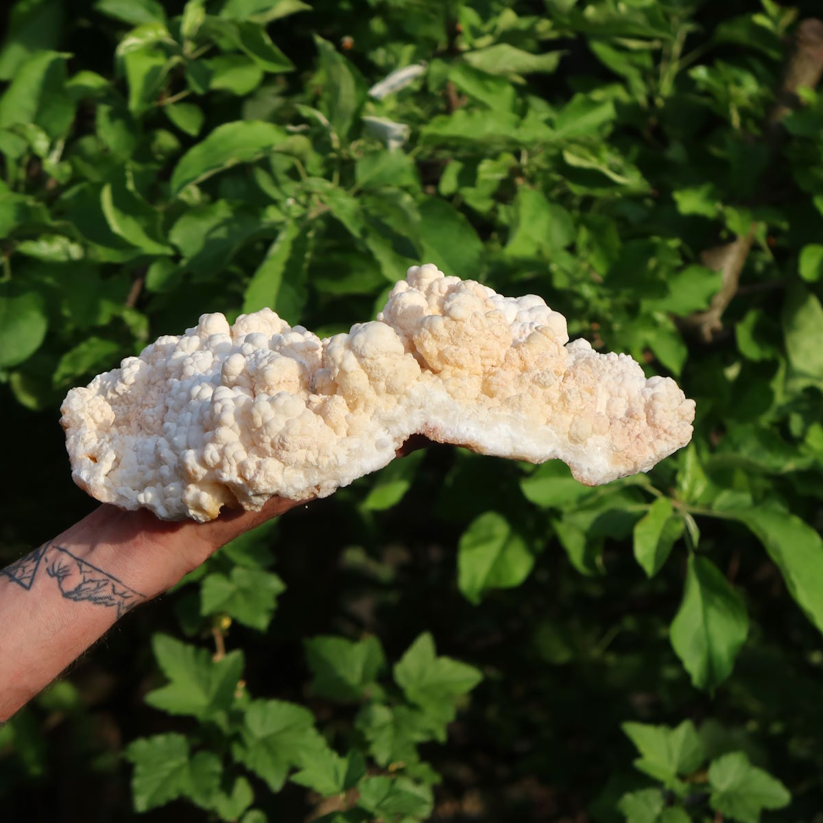 1A Stufe naturelle d'aragonite XL – Région de Sefrou, Maroc - 3,6 kg - 30x24x9 cm - N° 6