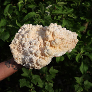 1A Stufe naturelle d'aragonite XL – Région de Sefrou, Maroc - 3,6 kg - 30x24x9 cm - N° 6