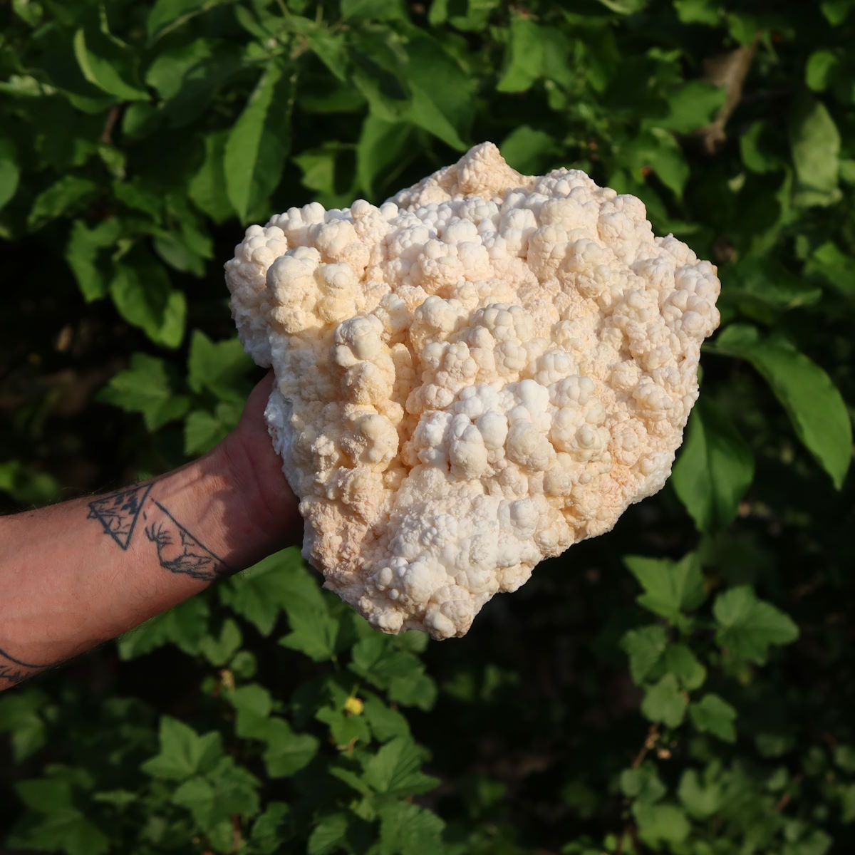1A Stufe naturelle d'aragonite XL – Région de Sefrou, Maroc - 3,6 kg - 30x24x9 cm - N° 6