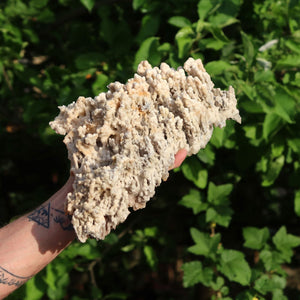 1A Naturlig Aragonit på matrix trin XL med drueformet dannelse – Marokko - 2,2kg - 36x15x10cm - Nr.8