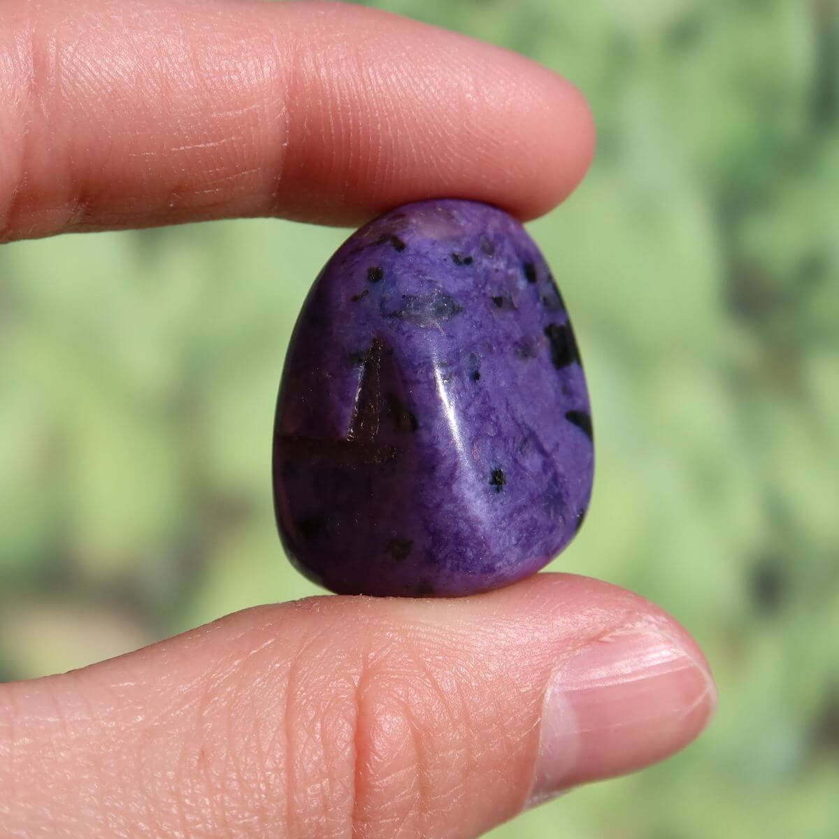 Charoit Handschmeichler, 25mm UNIKAT, violett, kaufen Online bei Steinweltn Graz und Wiener Neustadt, ideal für Ketten und Anhänger.