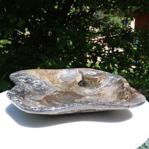 Große Orthoceras Schale XL - 48x39cm -4,7kg - Fossilgestein - Nr. 65
