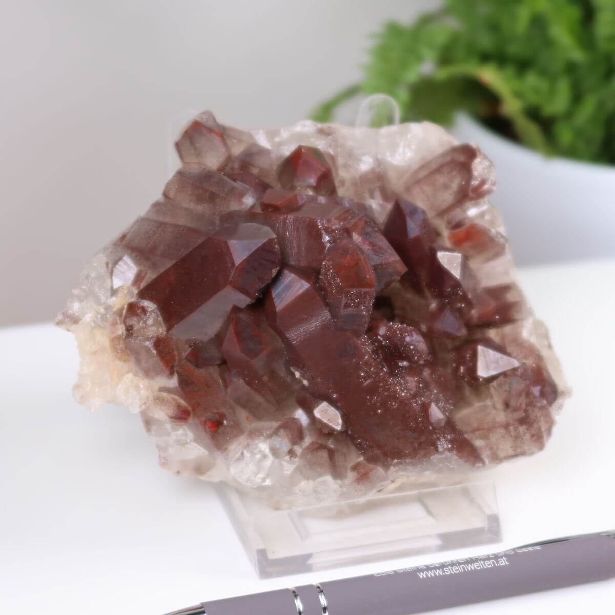 Seltene Hämatit Quarz Bergkristall Stufe aus Marokko neben Kugelschreiber, erhältlich online bei Steinwelten