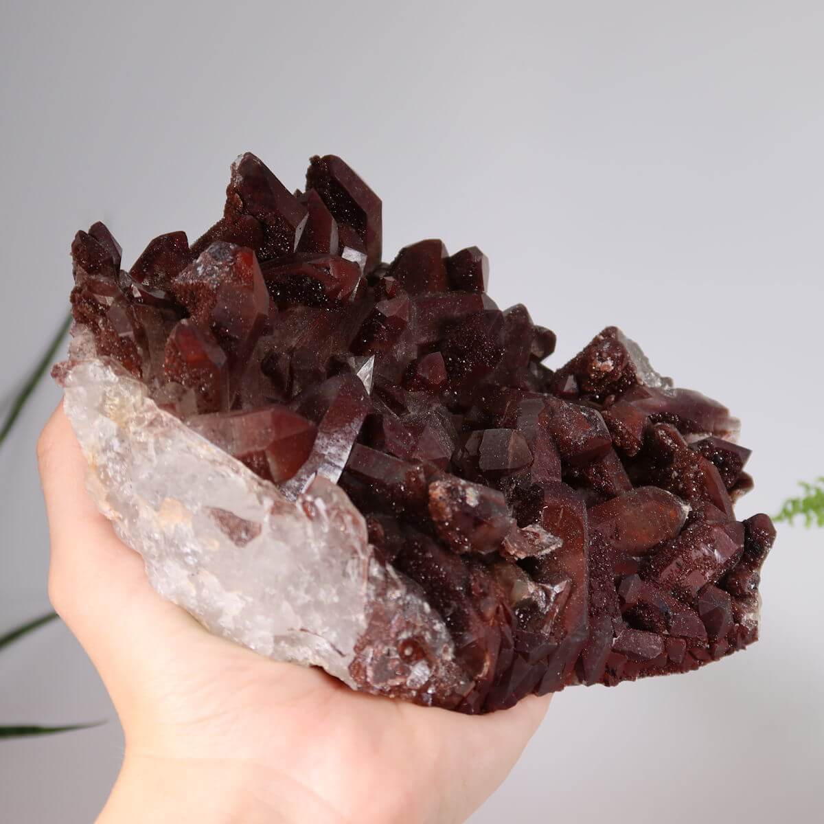 Seltene Hämatit Quarz Bergkristall Stufe (Eisenquarz), 19x15x5cm, Marokko, intensiver Farbton, erhältlich online bei Steinwelten.