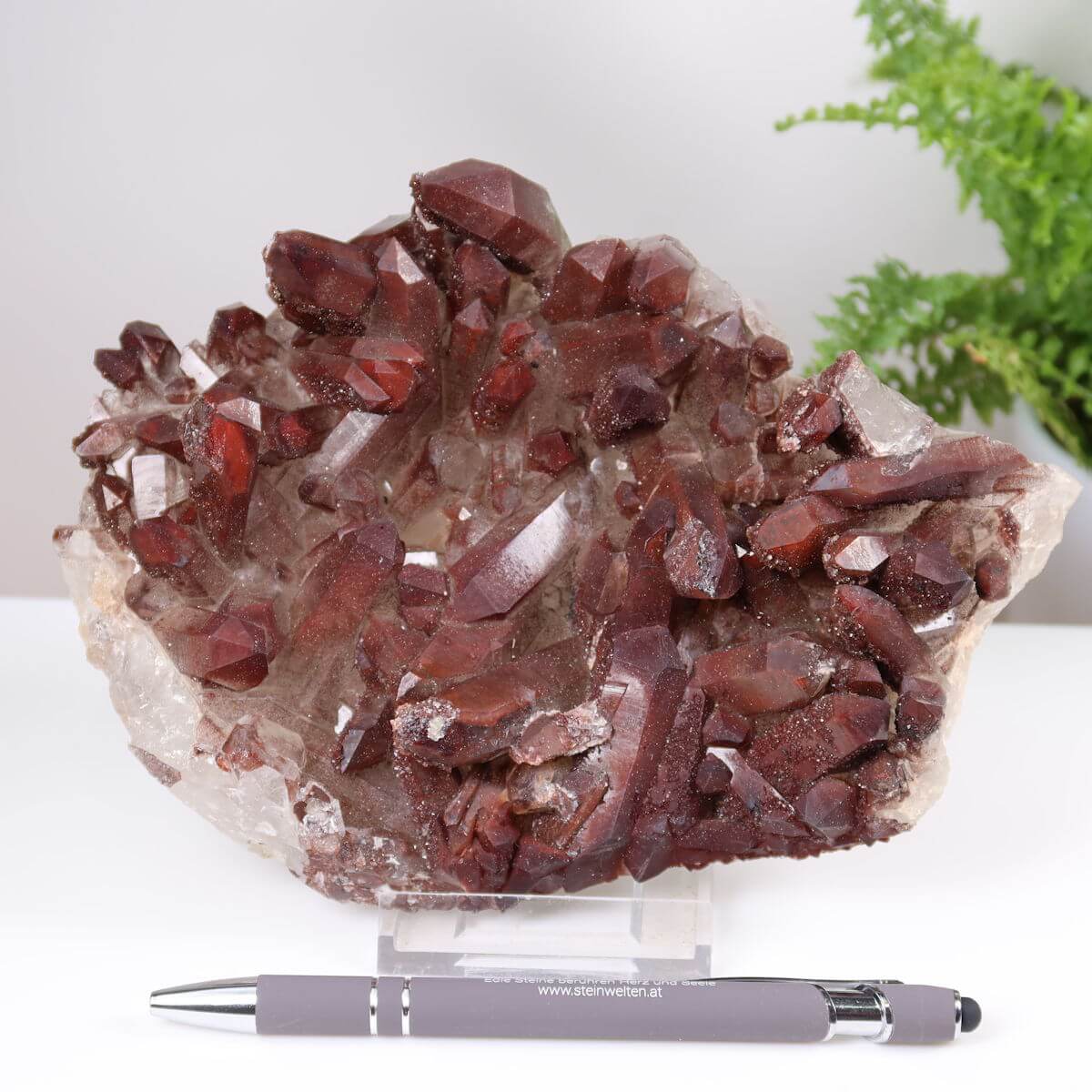 Seltene Hämatit Quarz Bergkristall Stufe (Eisenquarz), 19x15x5cm, Marokko, intensiver Farbton, erhältlich online bei Steinwelten.