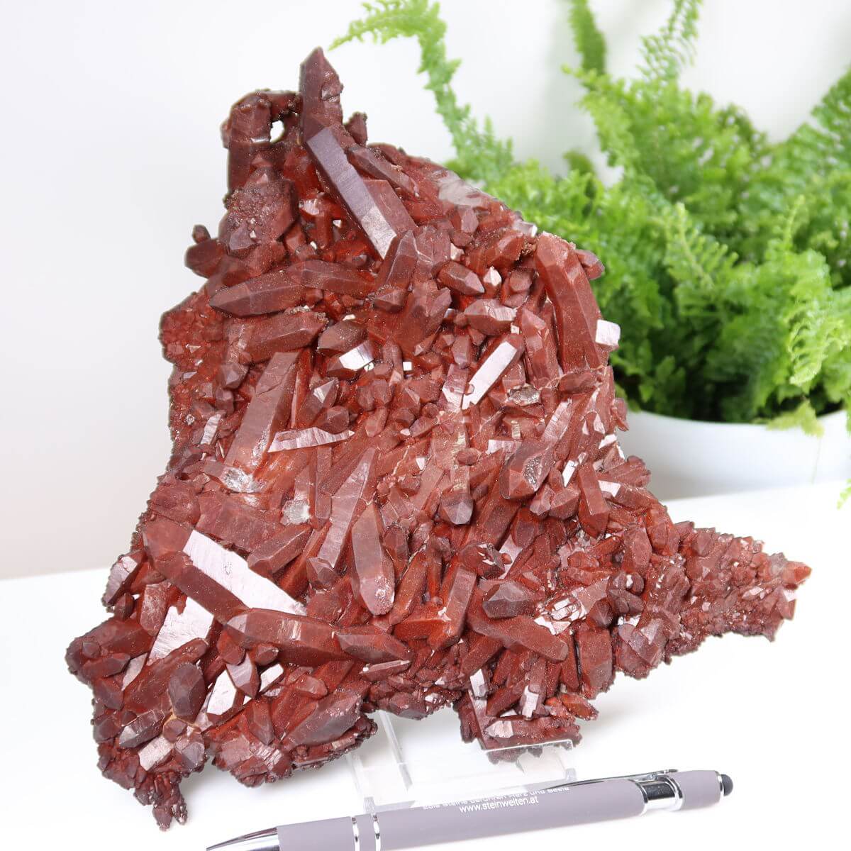 Eisenquarz Hämatit Quarz Bergkristall Sammlerstück aus Marokko, auf einem Tisch mit Pflanze im Hintergrund.