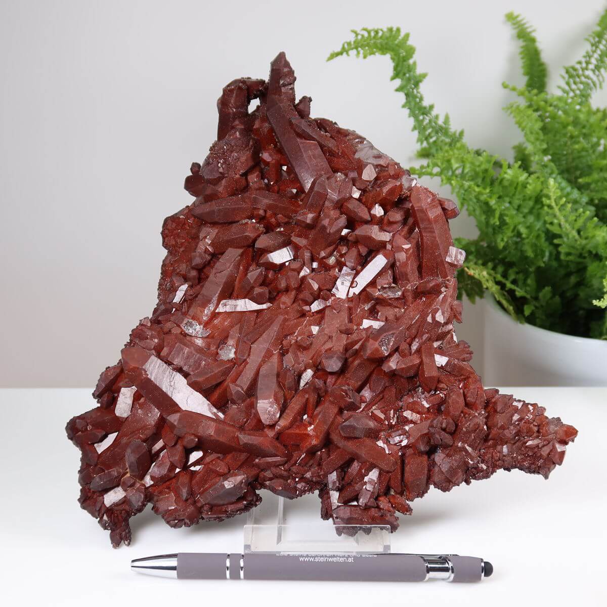 Eisenquarz Hämatit Quarz Bergkristall Sammlerstück aus Marokko, auf einem Tisch mit Pflanze im Hintergrund.