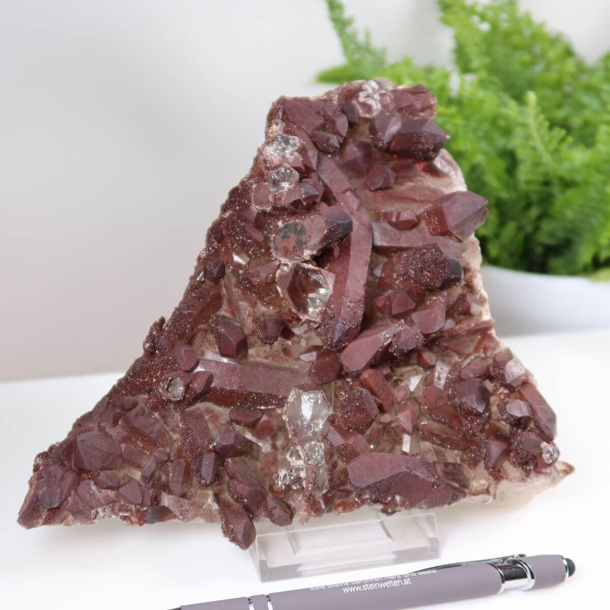 Hand holding a rare Eisenquarz (Hämatit Quarz) crystal from Morocco, rich in color and quality. Available for online purchase at Steinwelten.