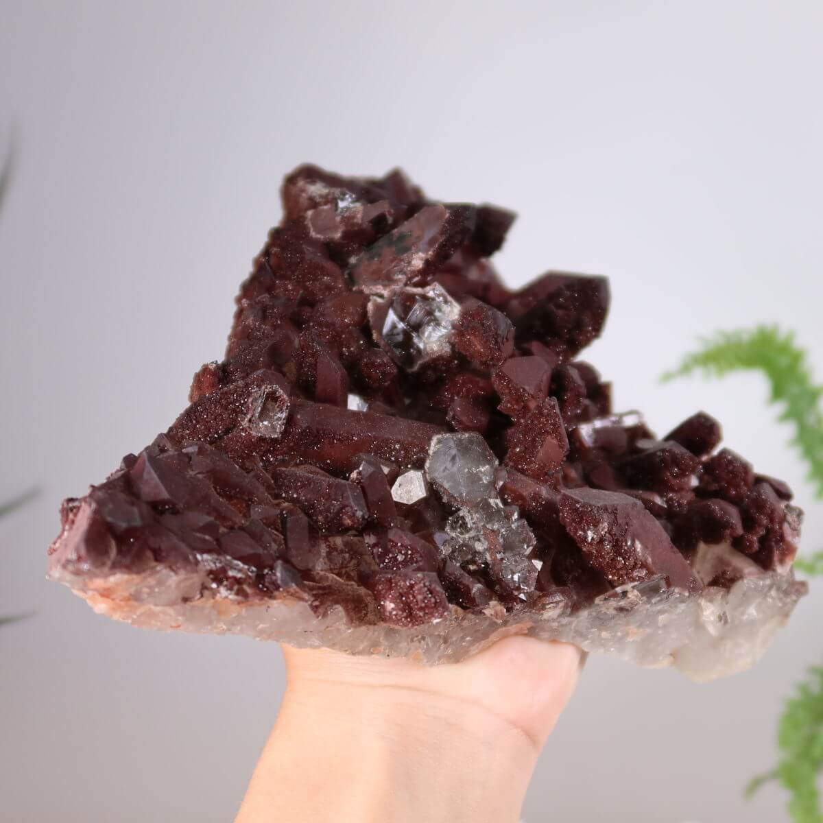 Hand holding a rare Eisenquarz (Hämatit Quarz) crystal from Morocco, rich in color and quality. Available for online purchase at Steinwelten.