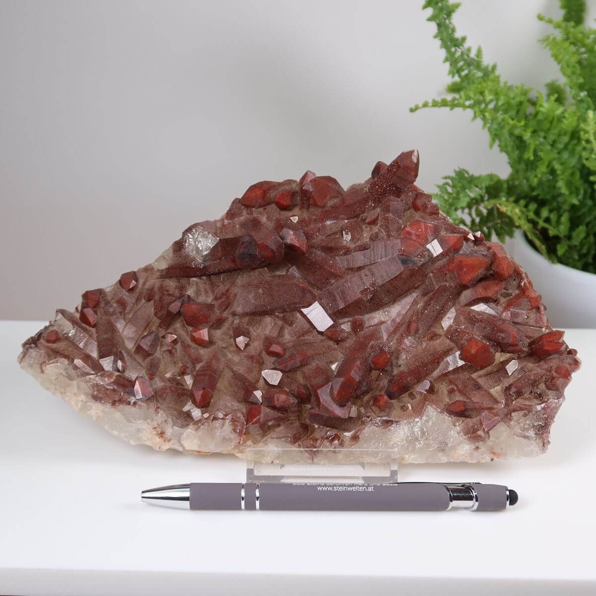 Seltene Hämatit Quarz Bergkristall Stufe aus Marokko, Eisenquarz Sammlerstück auf Display mit Stift, online kaufen