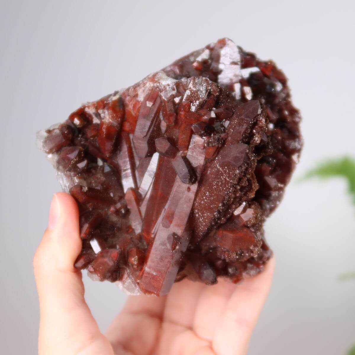 Hand holding a rare Hämatit Quarz Bergkristall from Marokko, showing deep red iron-rich crystals, ideal for collectors and enthusiasts.