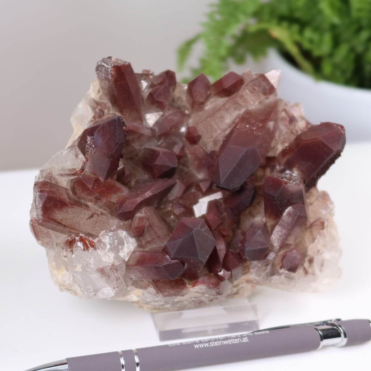 Seltene Hämatit Quarz Bergkristall Stufe aus Marokko neben Stift, 13x10x7cm, einzigartiger Eisenquarz für Sammler, online kaufen.