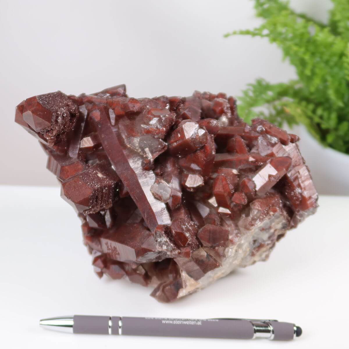 Seltene Hämatit Quarz Bergkristall aus Marokko, Eisenquarz Stufe mit intensiver Farbe, auf Tisch neben Stift, Steinwelten online kaufen.