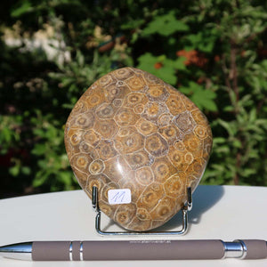 Polished Petoskey Stone on display stand, Versteinerte Koralle, 9x10x3 cm, UNIKAT Nr. 11, featuring natural coral patterns.