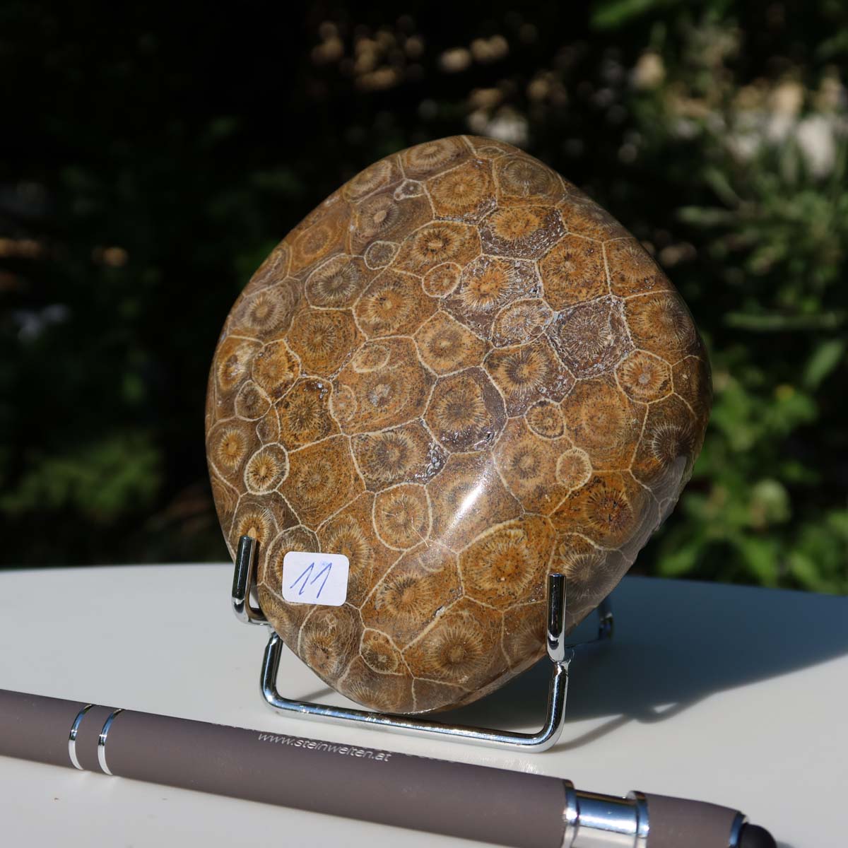 Polished Petoskey Stone on display stand, Versteinerte Koralle, 9x10x3 cm, UNIKAT Nr. 11, featuring natural coral patterns.