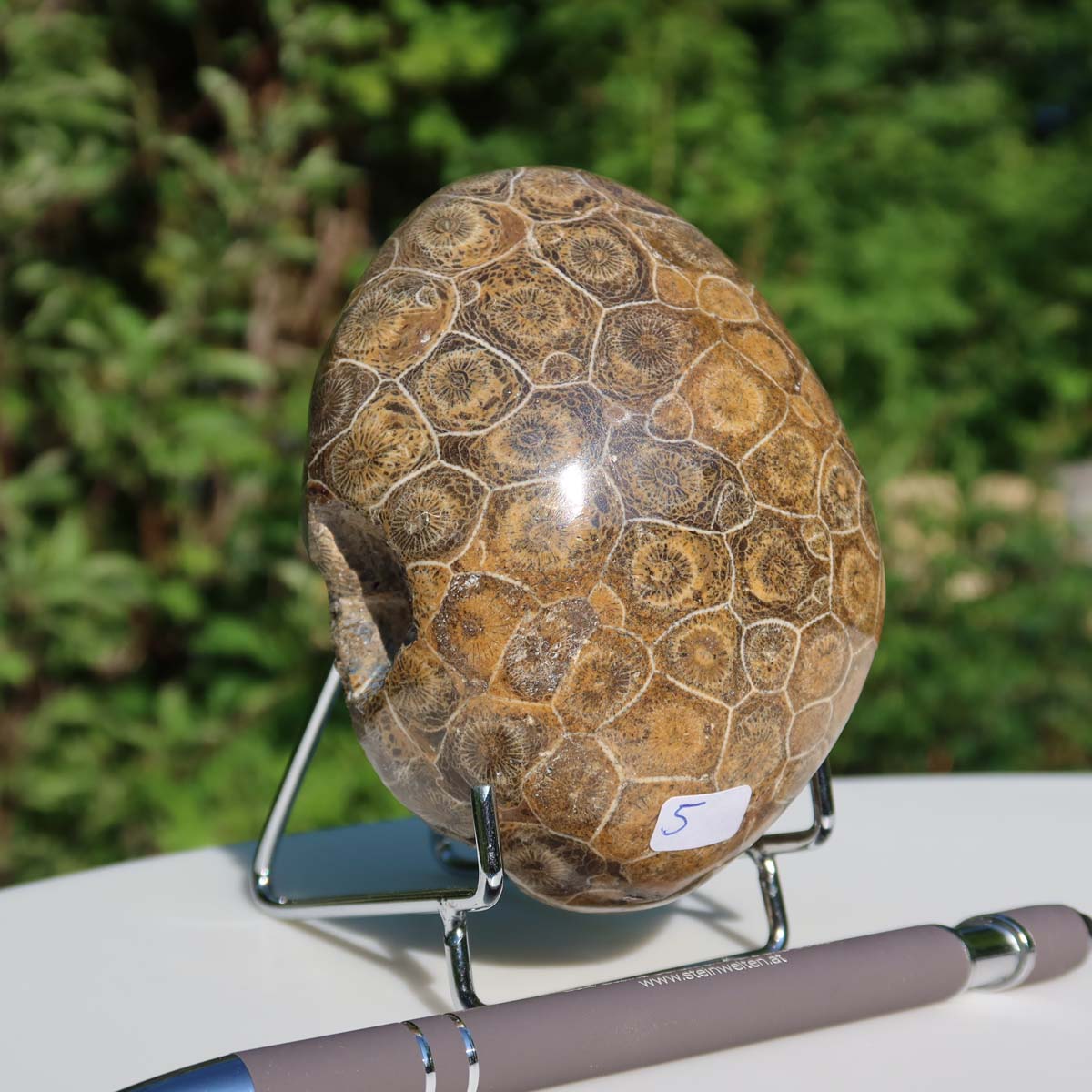 Petoskey Stone, polished fossil coral from Morocco, oval-shaped, size 10x7x5 cm, unique piece number 5, on a stand.